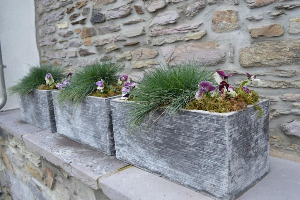 Gite La Forge Lierneux Zewnętrze zdjęcie