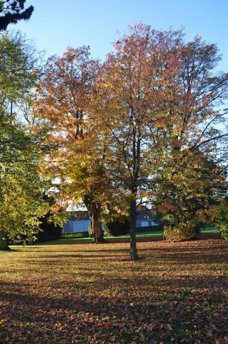 Gite La Forge Lierneux Zewnętrze zdjęcie